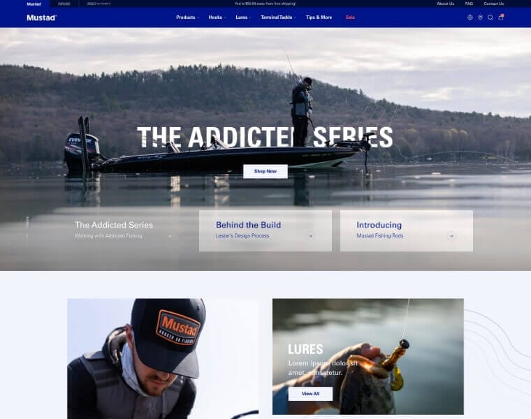 Custom WordPress solutions for advanced eCommerce functionalit