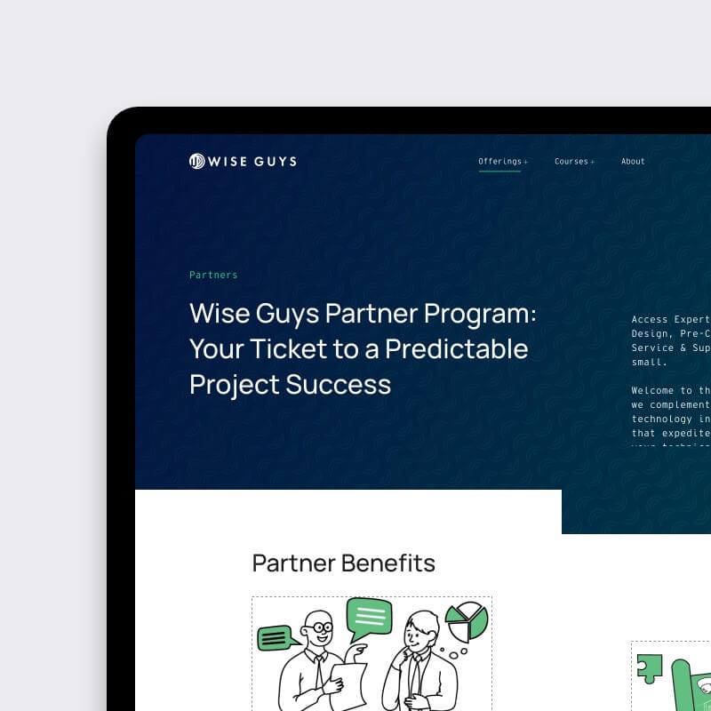Custom illustrations for WiseGuys brand on WordPress website