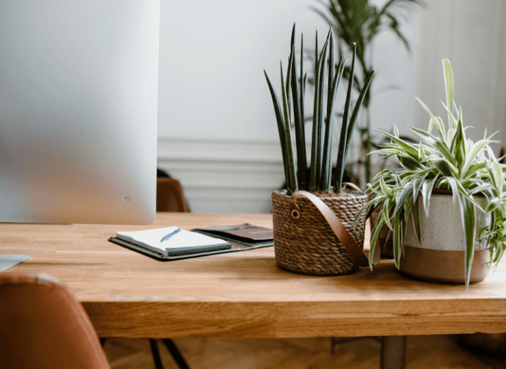 Custom WordPress website design