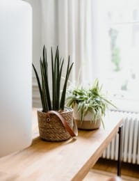 Team discussion with growth charts in background, representing white-label solutions for outsourcing design and development to scale agency services