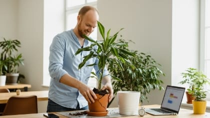 WordPress maintenance packages migration concept, moving to managed hosting for faster support and clear SLAs