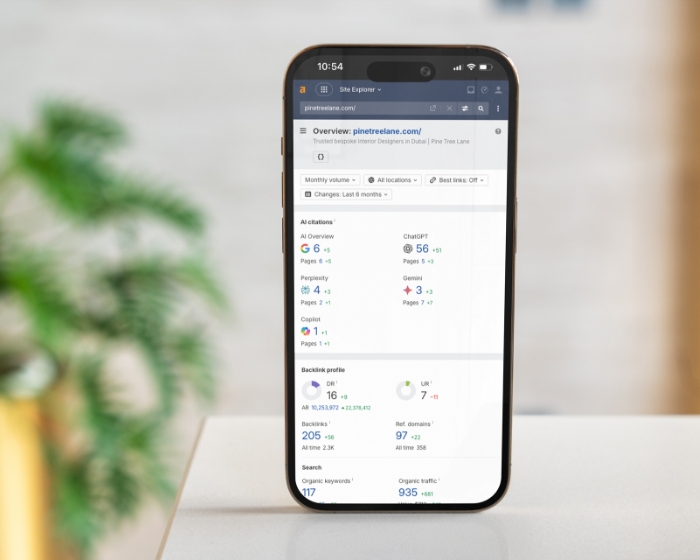 website optimalisatie case study verkeersgroei en AI zichtbaarheid